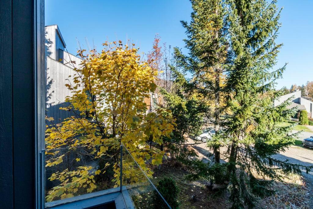Villa Initial - Sommet - Mont-Sainte-Anne Beaupré Exterior foto